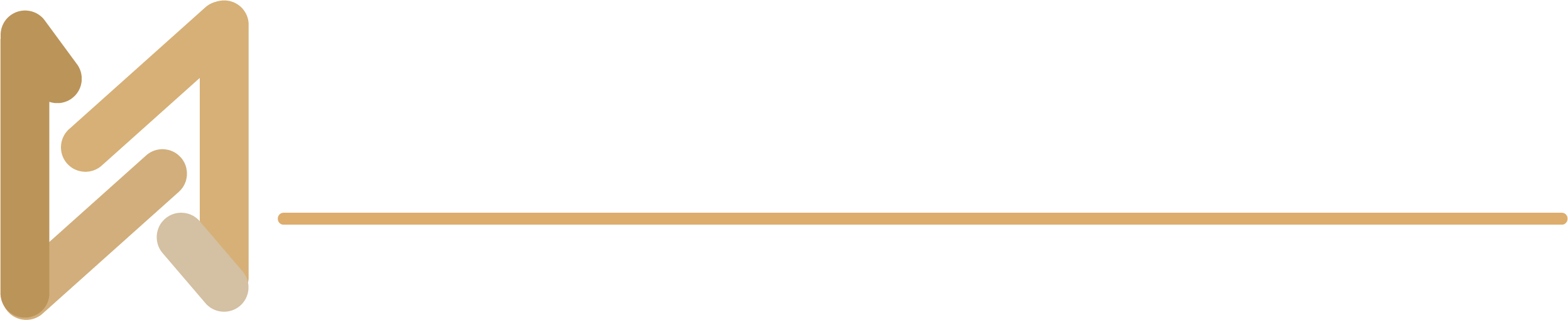 logo fennexus
